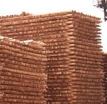 1517643090801109.jpg QQ截圖20180203154158.jpg